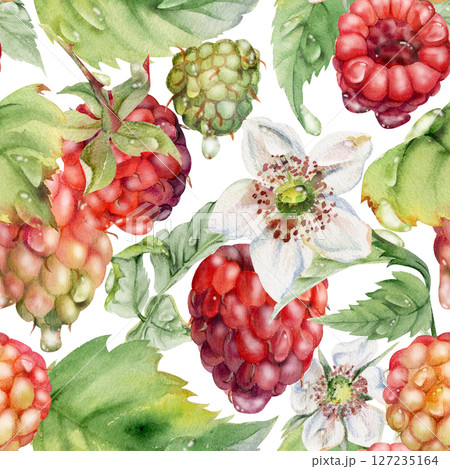 Raspberry ripe garden berries, flowers in water dew drops hand drawn in watercolor. Seamless isolated pattern tile. Home preserves, textile linens wallpaper, food store decor, packaging, scrapbooking 127235164