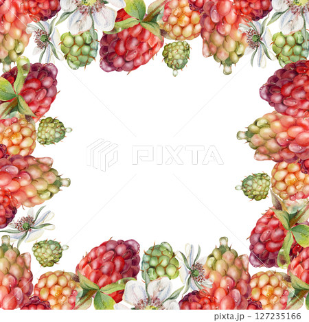 Raspberry ripe garden berries, flowers in water dew drops. Isolated square border frame hand drawn in watercolor. Home preserves, kitchen linens prints, food store decor, recipe book, dessert menu Raspberry ripe garden berries, flowers in water dew drops. Isolated square border frame hand drawn in watercolor. Home preserves, kitchen linens prints, food store decor, recipe book, dessert menu 127235166