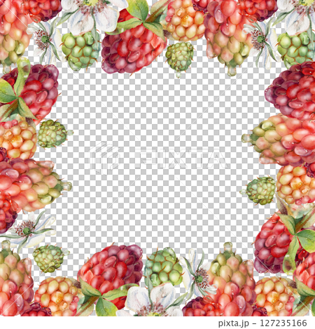 Raspberry ripe garden berries, flowers in water dew drops. Isolated square border frame hand drawn in watercolor. Home preserves, kitchen linens prints, food store decor, recipe book, dessert menu Raspberry ripe garden berries, flowers in water dew drops. Isolated square border frame hand drawn in watercolor. Home preserves, kitchen linens prints, food store decor, recipe book, dessert menu 127235166