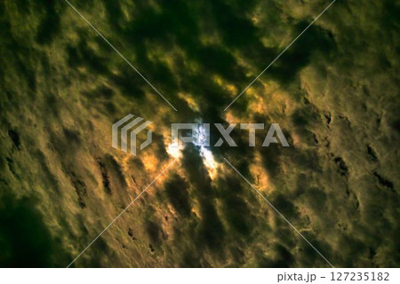 満月と夜雲 127235182