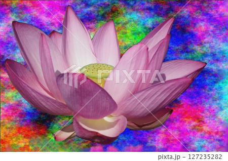 古代ハス　（加工） 127235282