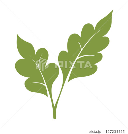 green leaf vector illustration 127235325