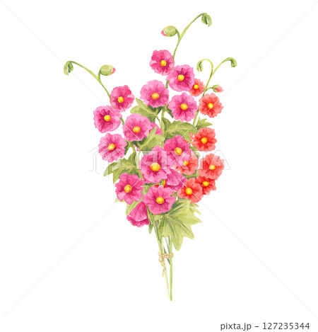 Bouquet of bright pink hollyhock blooms painted in watercolor illustration. Botanical wildflower clipart for flower shop branding, garden-themed packaging, botanical cards, or craft product labels 127235344
