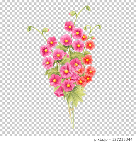 Bouquet of bright pink hollyhock blooms painted in watercolor illustration. Botanical wildflower clipart for flower shop branding, garden-themed packaging, botanical cards, or craft product labels 127235344