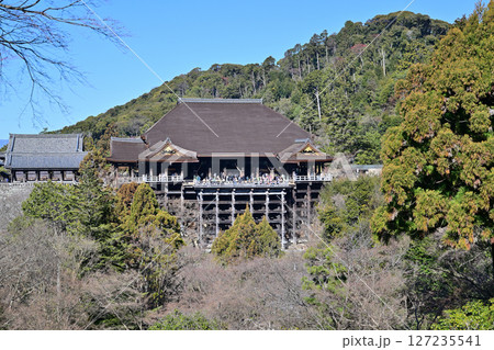 清水寺　2024年1月 127235541