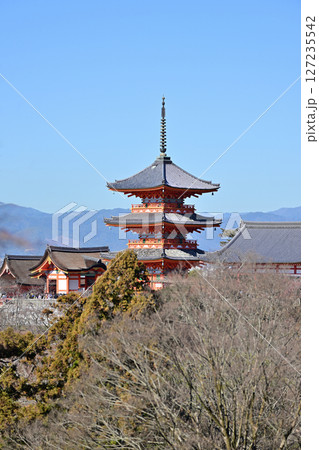 清水寺　2024年1月 127235542