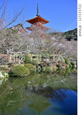 清水寺　2024年1月 127235722