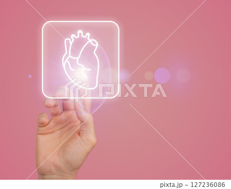Heart and cardiovascular health concept. Anatomy of the human organ with focus on aorta, arteries, Heart and cardiovascular health concept. Anatomy of the human organ with focus on aorta, arteries, 127236086