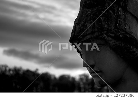 portrait of a girl with a hood portrait of a girl with a hood 127237386