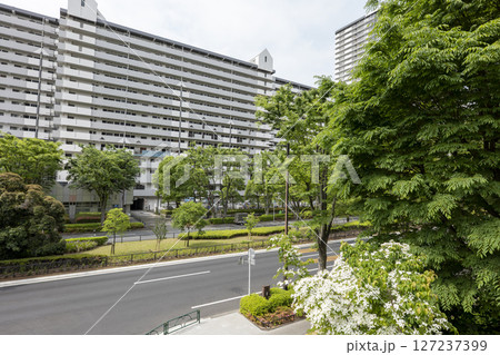 光が丘の街並み　東京都練馬区 127237399
