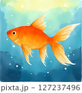 金魚が泳いでいる夏イメージのイラスト 127237496