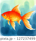 金魚が泳いでいる夏イメージ 127237499