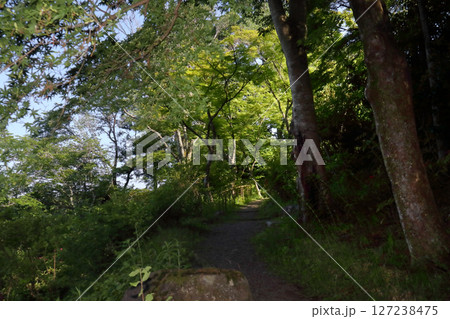ロマンチック茨城（笠間市・春風萬里荘の庭を北大路魯山人の思いにふけながら初夏の緑の園を探索する。） 127238475