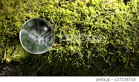 Green globe with crystal clear glass, symbolizing the protection of Earth and nature. Eco friendly Green globe with crystal clear glass, symbolizing the protection of Earth and nature. Eco friendly 127238718