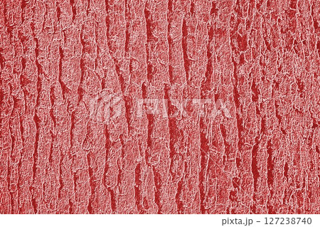 樹皮　（加工） 127238740