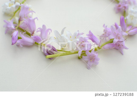 ピンクとホワイトのシラーの花のリース　 127239188