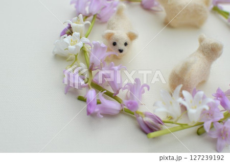 ピンクとのホワイトのシラーの花のリースとフェルトの子犬 ピンクとのホワイトのシラーの花のリースとフェルトの子犬 127239192