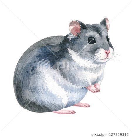 かわいいジャンガリアンハムスターのイラスト素材 127239315