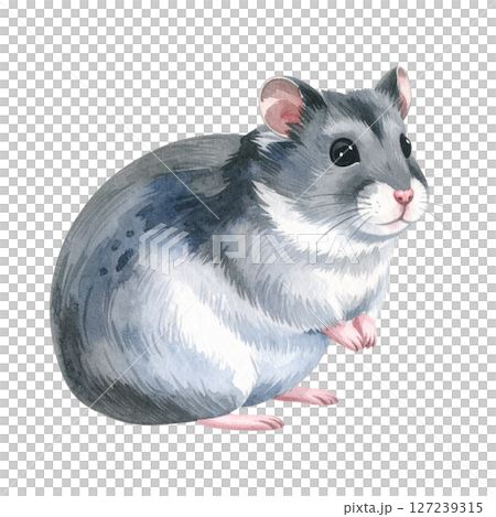かわいいジャンガリアンハムスターのイラスト素材 127239315