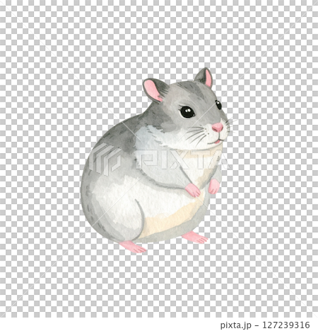 かわいいハムスターのイラスト素材 127239316