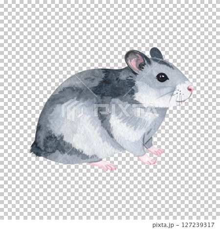 可愛的倉鼠插畫素材 可愛的倉鼠插畫素材 127239317