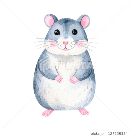 かわいいハムスターのイラスト素材 127239324