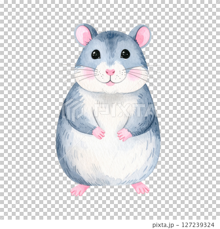 かわいいハムスターのイラスト素材 127239324