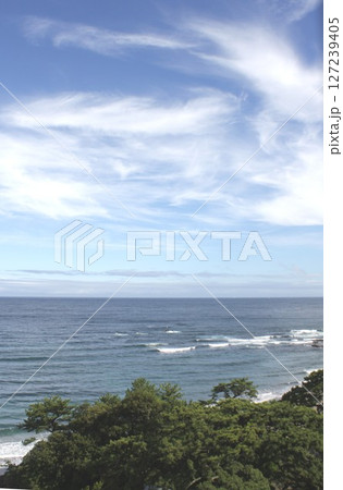 晴天の伊豆半島、河津町の今井浜海岸から穏やかな相模湾と太平洋を見る 晴天の伊豆半島、河津町の今井浜海岸から穏やかな相模湾と太平洋を見る 127239405