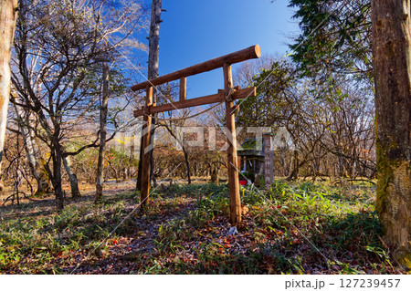 晩秋の西上州・荒船山神社 127239457