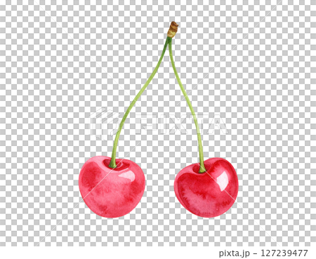 かわいいさくらんぼのイラスト 127239477