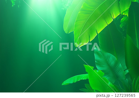Rays of Sunlight Filtering Through Lush Green Leaves in a Serene Forest Setting Rays of Sunlight Filtering Through Lush Green Leaves in a Serene Forest Setting 127239565
