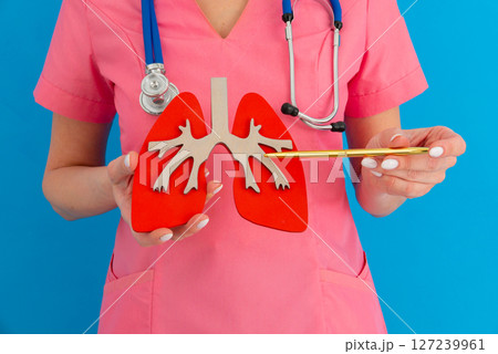 doctor showing pen on a anatomical model of human lung 127239961