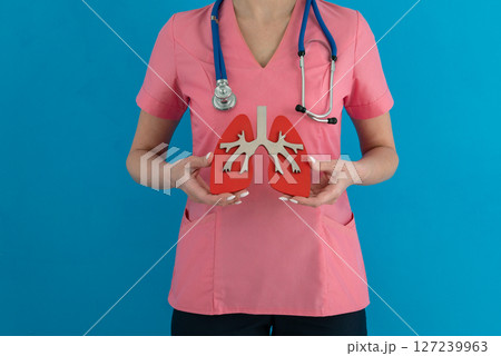 Doctor hold in hand anatomical model of human lung Doctor hold in hand anatomical model of human lung 127239963