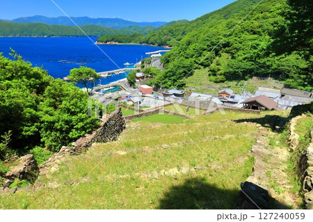 【愛媛県】晴天の外泊・石垣の里 【愛媛県】晴天の外泊・石垣の里 127240059