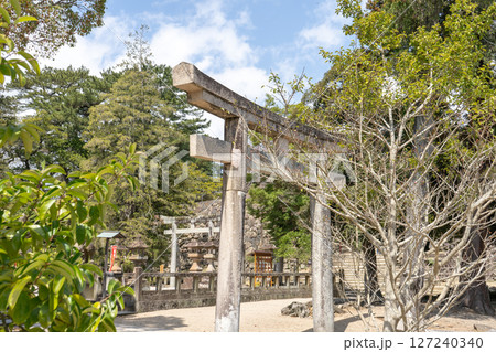 島根県 松江神社の鳥居 島根県 松江神社の鳥居 127240340