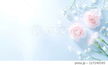 Pink carnations and delicate baby's breath flowers are arranged on a soft pastel blue background, creating a serene and beautiful floral display 127240395