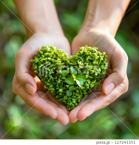 Hands holding a heart shape made of natural materials love for nature eco friendly 127241351