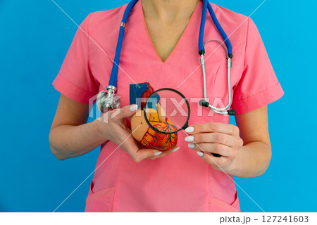 Doctor consult patient on laptop with anatomical model of human heart Cardiologist supports the heart Online doctor appointment. 127241603
