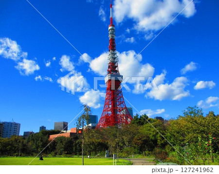 芝公園から見える東京タワー 芝公園から見える東京タワー 127241962