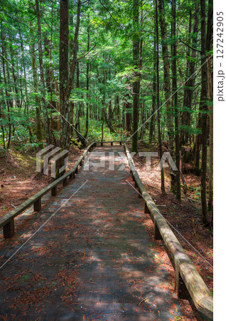 【乗鞍高原】牛留池周回路【松本市安曇】 127242905