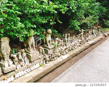 【島根】城山稲荷神社　参道に並ぶ狐の石像と置物（松江） 127242937