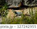 Sunbather on the Rocks 127242955