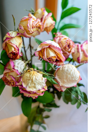 bouquet of dried withered roses bouquet of dried withered roses 127243572