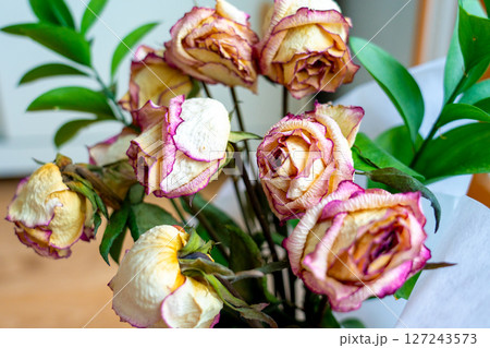 bouquet of dried withered roses bouquet of dried withered roses 127243573