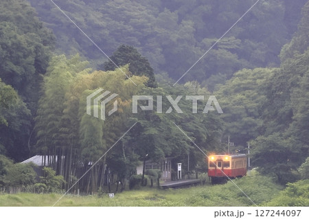 初夏の小湊鉄道 127244097