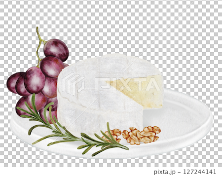 Cheese watercolor on a plate. Hand drawn piece of soft cheese with grapes, walnuts and rosemary. White brie or camembert Italian, French soft cheese. Exquisite snack for wine. Clip art food realism 127244141