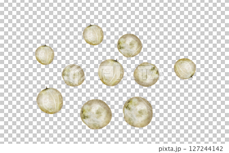 White peppercorns watercolor. Hand drawn dried pepper. Clip art on a white background of hot spices. Ideal for cookbooks, menus and organic product packaging White peppercorns watercolor. Hand drawn dried pepper. Clip art on a white background of hot spices. Ideal for cookbooks, menus and organic product packaging 127244142