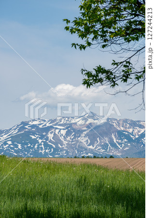 緑の牧草畑と残雪の山並み　十勝岳 127244213