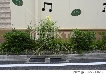道路植栽を活用した雨水貯留浸透 道路植栽を活用した雨水貯留浸透 127244652