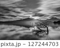 景色 風景 自然 127244703